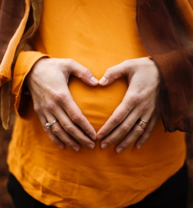 Improving early pregnancy and childhood care and education.